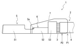 TERMINAL-EQUIPPED WIRE AND WIRE HARNESS