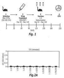 NOVEL METHOD FOR PREVENTING OR TREATING M TUBERCULOSIS INFECTION