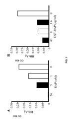 Treating hepatitis B virus infections by administering receptor associated protein (RAP)