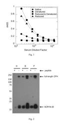 INHIBITORS OF COMPLEMENT FACTOR H