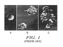 INTERTUMORAL HOMOGENEITY DETERMINED BY MiCK ASSAY