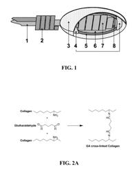 Collagen scaffolds, medical implants with same and methods of use