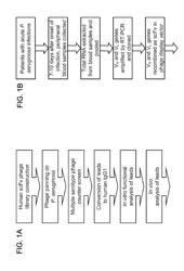 Anti-Pseudomonas PSL Binding Molecules and Uses Thereof