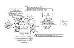 METHODS OF TREATING CANCER WITH ANTI-TIM-3 ANTIBODIES