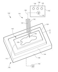 DEPARAFFINIZATION OF TISSUE UTILIZING ELECTRIC FIELD