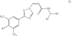 HYDRAZIDE CONTAINING NUCLEAR TRANSPORT MODULATORS AND USES THEREOF