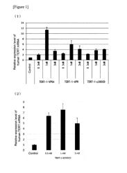 TRANSCRIPTIONAL REGULATORY FUSION POLYPEPTIDE