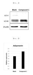 Cosmetic composition for anti-aging or alleviating skin redness, and medicinal composition for preventing and treating skin inflammatory diseases, containing compound inducing increase in expression of adiponectin