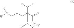 Compounds and methods for the treatment of neurodegenerative diseases