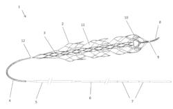 CLOT RETRIEVAL DEVICE FOR REMOVING CLOT FROM A BLOOD VESSEL