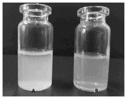 PROCESS FOR PRODUCING A NANO RESVERATROL MICROEMULSION SYSTEM