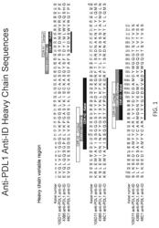 IDIOTYPIC ANTIBODIES AGAINST ANTI-PD-L1 ANTIBODIES AND USES THEREOF