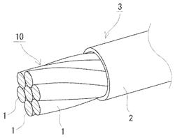 Covered Electrical Wire, Terminal-Equipped Electrical Wire, Copper Alloy Wire, and Copper Alloy Stranded Wire