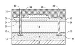 MIM CAPACITOR FOR IMPROVED PROCESS DEFECT TOLERANCE