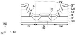 FLEXIBLE DISPLAY DEVICE AND METHOD OF MANUFACTURING THE SAME