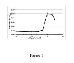 Recombinant host cells for the production of malonate