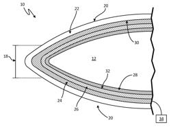 Erosion strip integrated with carbon allotrope-based deicing/ anti-icing elements