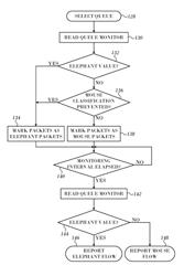 Elephant flow detection in network access