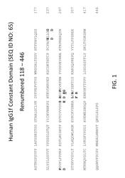 Antibodies to CD40 with enhanced agonist activity