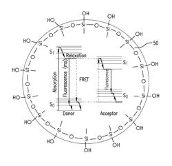 Multicolor fluorescent silica nanoparticles as tracers for production and well monitoring