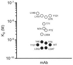 MULTISPECIFIC ANTIGEN-BINDING MOLECULE WITH IMPROVED INTERNALIZATION CHARACTERISTICS