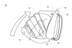 Backpack collapsible coolers