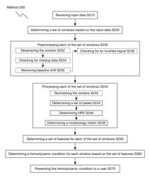 System and method for assessing and monitoring the hemodynamic condition of a patient