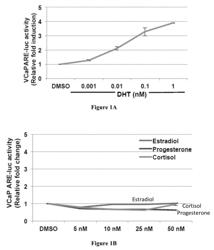 Small molecule androgen receptor inhibitors and methods of use thereof