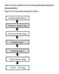 Immunoglobulin purification using pre-cleaning steps