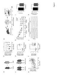 Methods and compositions for treating aging-associated impairments