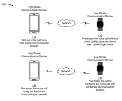 Establishing a low bitrate communication session with a high bitrate communication device