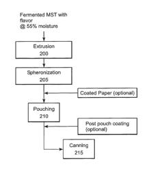 Moist botanical pouch processing and moist oral botanical pouch products