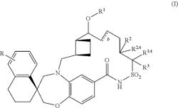 Compounds that inhibit Mcl-1 protein