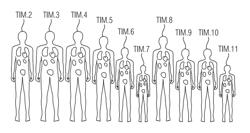 Providing a patient model of a patient