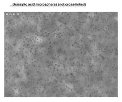 Microparticle composition and use thereof