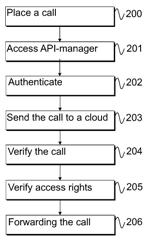 Application programming interface manager