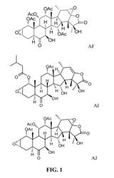 Taccalonolide microtubule stabilizers