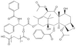 MODIFIED CYTOTOXINS AND THEIR THERAPEUTIC USE