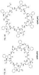 pH-SENSITIVE PEPTIDES