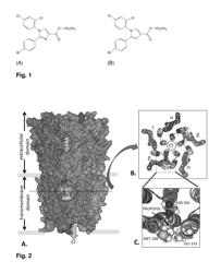 Methods, compounds, and compositions for anesthesia