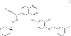 Salts of quinazoline derivative or crystals thereof, and the process for producing thereof