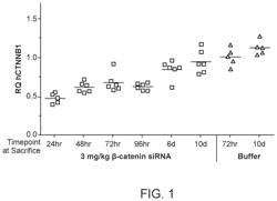 NUCLEIC ACID CONSTRUCTS AND METHODS OF USING THE SAME