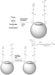 IMAGING AGENTS AND USES THEREOF