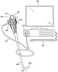 MUTLI-VIEWING ELEMENT ENDOSCOPE