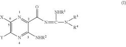 Dendrimer like amino amides possessing sodium channel blocker activity for the treatment of dry eye and other mucosal diseases