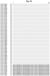 INSECTICIDAL PROTEINS AND METHODS FOR THEIR USE