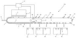 Egg sorting and packaging method and assembly