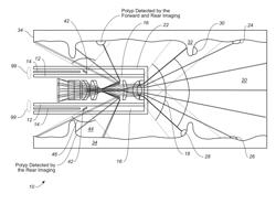 Dual-view probe for illumination and imaging, and use thereof