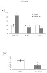 MICROPEPTIDES AND USE OF SAME FOR MODULATING GENE EXPRESSION