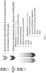 METHODS FOR ISOLATING MICROVESICLES AND EXTRACTING NUCLEIC ACIDS FROM BIOLOGICAL SAMPLES